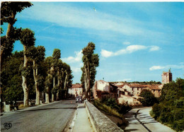 Aniane * Avenue Du Pont Neuf - Aniane