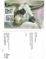 Czech Republic 2020 - Sheep "valaska", Special Cartes Maximum With Stamp With Cupon - Farm