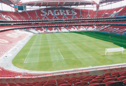 Cpm 10x15 (Tirage Limité 100 Ex.) Foot. Stade . PORTUGAL . LISBONNE. Estadio Da Luz - Fútbol