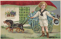 Chien Dackel Teckel  Dachshund  Basotto  Basset Dog Hund Pilze Champignons Mushroom Boy Old Postcard Cpa. 1912 - Honden