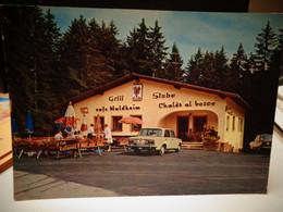 Cartolina Chalet Al Bosco Cafe Waldheim Mendola Grill Stube Auto Prov Trento - Trento