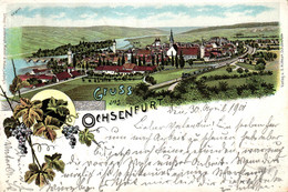 Ochsenfurt, Farb-Litho, 1901 Nach Münster In Westfalen Versandt - Ochsenfurt