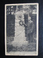 AK LITSCHAU B. Gmünd Ca.1920 Hamerling Denkmal   /////  D*46323 - Gmünd