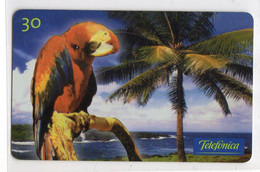 BRESIL TELECARTE TELEFONICA PERROQUET PALMIER - Parrots