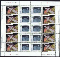 1992   Canada In Space - Hologram  Sc 1441-2   Se-tenant  Complete MNH Sheet Of 20   With Inscriptions - Fogli Completi