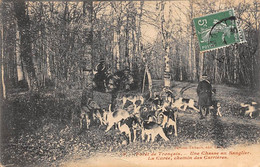 Forêt De Tronçais         03     Chasse A Courre   Sanglier. La Curée. Chemin Des Carrières        (voir Scan) - Otros & Sin Clasificación