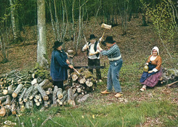 ° Thaumiers - Avec Les " Forestins " Casse Pas L'manche - Thaumiers