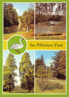 CPM - Im PILLNITZER Park - Pillnitz