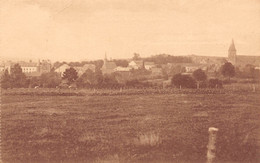 Etablissement De CARLSBOURG - Vue Prise Du Chemin De Vivy - Paliseul