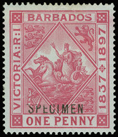 S Barbados - Lot No.245 - Barbados (...-1966)