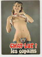 HUMOUR 595 : Chat Lut Les Copains   édit. Lyna Série 723/1 ( Nue Nues ) - Humor