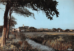 CHAILLE-les-MARAIS - Paysage Typique - Chaille Les Marais