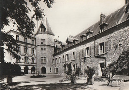 MONTARGIS. - Entrée Du Château. CPM Dentelée RARE - Montargis