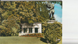 MONTARGIS. - Statue Du "Chien De Montargis" Et Vestiges D'Arcades. CPM  Photo - Montargis