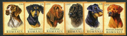 ROMANIA 2005 Hunting Dogs MNH / **.  Michel 5982-87 - Ongebruikt