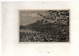 Küssnacht (Suisse, Schwytz) : Vue Générale Aérienne Du Quartier De L'église En 1935 PF. - Schwytz