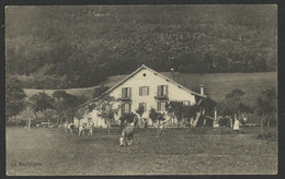 SWITZERlLAND LA NANTILLERE Rochefort Ferme Et Vaches,Cows 1916 Old Postcard (see Sales Conditions) 02906 - Rochefort