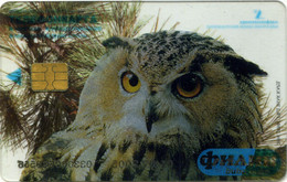 Russia Ekaterinenburg 100un. Trasparent - Owls