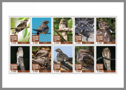 SIERRA LEONE 2020 MNH Nightjars Ziegenmelker Engoulevent M/S - OFFICIAL ISSUE - DHQ2040 - Hirondelles