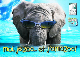 Zoo   Granby  Amazoo Parc Aquatique Yoplait  Lunette Soleil   Elephant - Olifanten