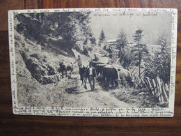 Suisse 1907 Monthey Descente De La Montagne Cpa Ak Schweiz Carte Postale Ancienne - Monthey