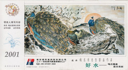 China 2001, Postal Stationery, Bird, Birds, Peacock, Peacocks, Pre-Stamped Post Card, MNH** - Peacocks