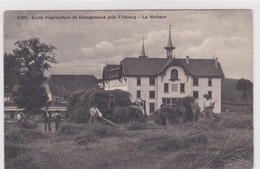 Posieux, Grangeneuve. Ecole D'agriculture. La Moisson - Posieux