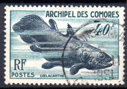 Comores: Yvert N° 13 - Used Stamps