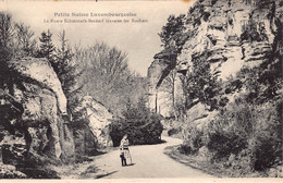 Luxembourg  Luxemburg La Route Echternach Berdorf Traverse Les Rochers  Petite Suisse Luxembourgeoise    M 5426 - Berdorf