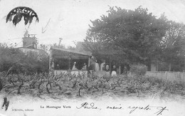 Vichy           03            Vue Du Restaurant : La Montagne Verte     (voir Scan) - Vichy