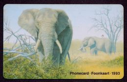 South Africa Big Five: Used Elephant Phonecard With Rare Chip  Siemens S 30 ( Module 34) - Südafrika