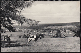 D-37603 Holzminden/ Neuhaus  (Solling)  - Ortsansicht ( Echt Foto) - Holzminden