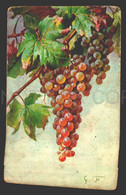 Vines Grapes Artist Signed Postcard Ca1900 W6-362 - Vignes