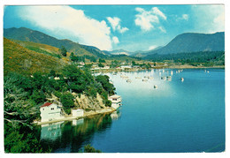 Ref 1411 - Postcard - Waikawa Bay - Queen Charlotte Sound - New Zealand - Nouvelle-Zélande