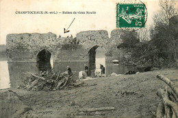 Champtoceaux * Ruines Du Vieux Moulin * Lavoir Laveuses - Champtoceaux