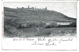 4088g: AK Wien- Grinzing, Gruss Aus Der Wildgrube, Gelaufen 1899 Nach Vöslau - Grinzing
