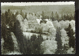 Ansichtskarte Von Grünhain (Erzgeb.) Mit FDGB-Genesungsheim Um 1960 - Grünhain