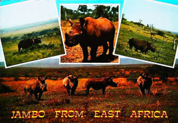 Rhinocéros  Kenya   Timbre Stamp - Rhinoceros