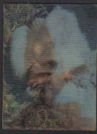 Figurina San Pellegrino WWF Aquila Reale Chrysaetos Carte à Collectionner Aigle Royal Trading Card Golden Eagle FAS00125 - Autres & Non Classés