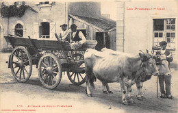 64-ATTELAGE DE BOEUFS PYRENEENS - Autres & Non Classés