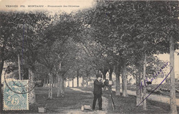 85-MONTAIGU- PROMENADE DES OLIVETTES - Montaigu