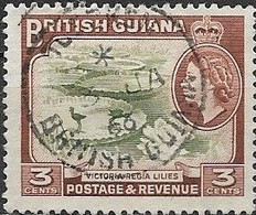 BRITISH GUIANA 1954 Felling Greenheart - 3c - Olive And Brown FU - Guyane Britannique (...-1966)