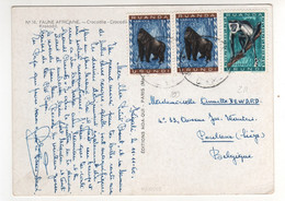 Beaux Timbres , Stamps Yvert N° 209 , 211 " Singes :  Colobus , Gorille " Sur Cp , Carte , Postcard Du 11/11/1960 - Used Stamps