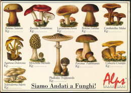 °°° GF158 - SIAMO ANDATI A FUNGHI - 1998 °°° - Mushrooms
