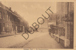 Postkaart-Carte Postale  - HELLEGAT - Niel - De Gemeenteplaats  (B932) - Niel