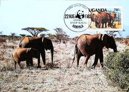 WWF, Uganda Kampala 1983 The African Elephant, Carte Maximum - Uganda