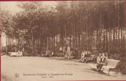 Sanatorium Elisabeth à Sysseele-lez-Bruges Sijsele Damme Brugge - Damme