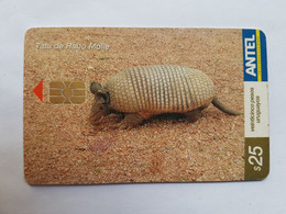 URUGUAY ANTEL TC 304a TATU DE RABO MOLLE CABASOUS TATOUAY 11/2003 - Uruguay