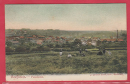 Bouffioulx - Panorama ... De La Localité - Jolie Carte Couleur - 1906 ( Voir Verso ) - Chatelet