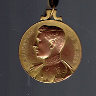 Effigie Du Roi Albert 1er Sur Médaille De La Société Des Pinsonnistes De Carnières (Honneur Au Secrétaire) - Professionals / Firms